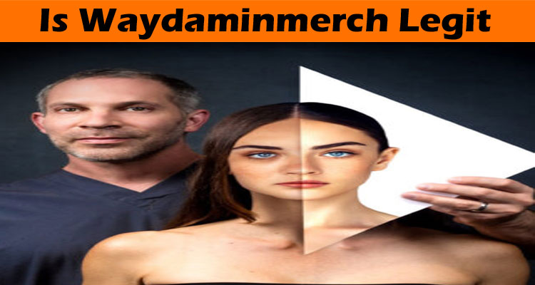 Waydaminmerch-online-webste